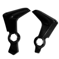 Triumph Tiger 800 Carbon Verkleidung Side Covers Plaque latérales 2025+